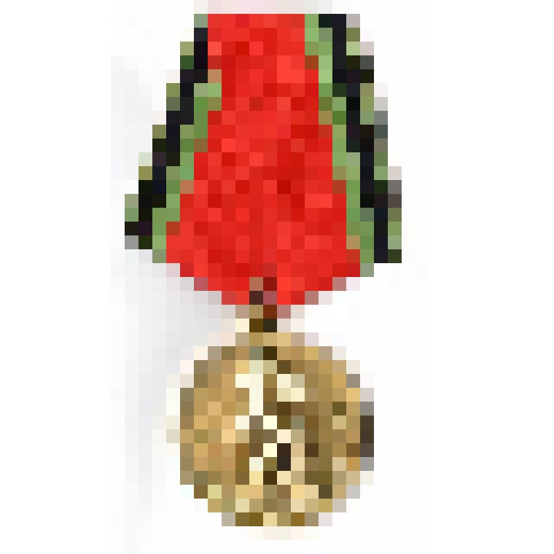 Медаль "Двадцать лет победы в Великой Отечественной войне 1941-1945 гг.", Горского А.Н