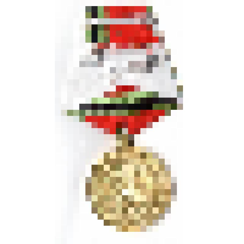 Медаль "Двадцать лет победы в Великой Отечественной войне 1941-1945 гг.", Горского А.Н