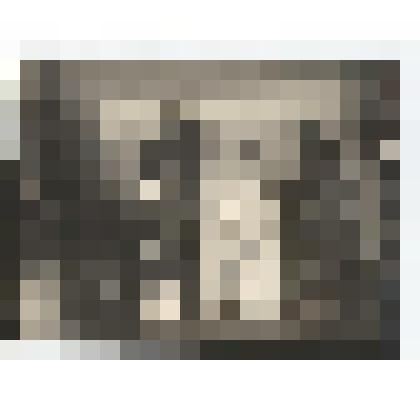 Ф/чб. Экспозиция Центрального музея АССР НП: отдел природы (витрины с чучелами птиц и животных, снопы растений, в центре: витрина с крупными яйцами птицы). Энгельс. 1941