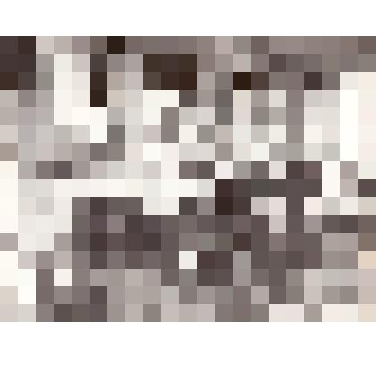 Фотография чёрно-белая П. Савоненко  на конкурсе гармонистов