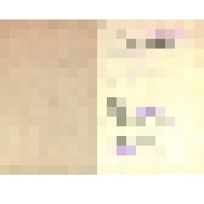 Трудовая книжка Червинского Михаила Григорьевича - соловецкого юнги, 1950 г