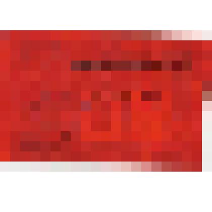 Мандат. Мандат №188 делегата  ХХ1У Хакасской областной партийной конференции от Абаканской городской партийной организации Трошкина Алексея Федоровича