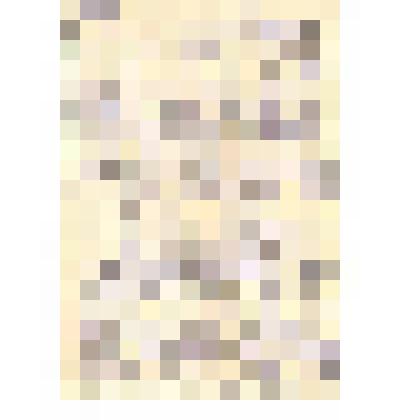 Подшивка. Письмо с конвертом. Из Санкт-Петербурга от Четвериковой Н.Б.  в Чердынь Пиндрус И.В.  от 28.06.2000 г