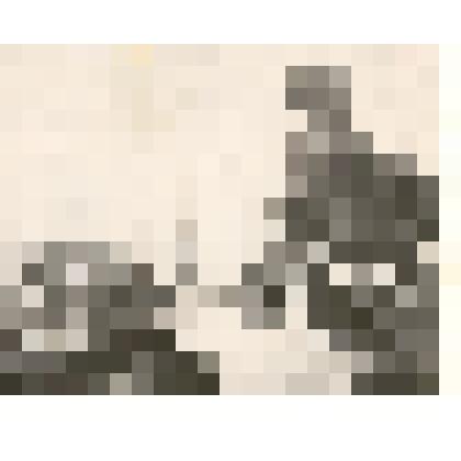 Фотография: Артемов П.И., кукурузовод совхоза "Октябрь" Каменского района Алтайского края