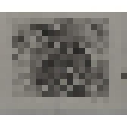 Гравюра. Портрет А.Писаренко