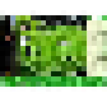 Буклет цветной троллейбусного завода "Тролза" (Энгельс) с рекламой автобуса с гибридным тяговым приводом "ЭКОбус"  на русском и английском языках