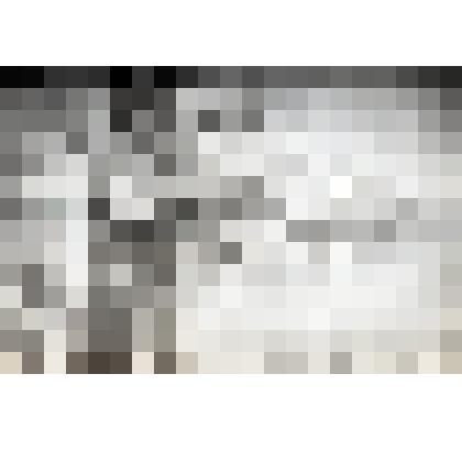 Негатив "Одинокая береза"