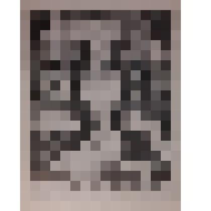 Exlibris Karlis Sebris