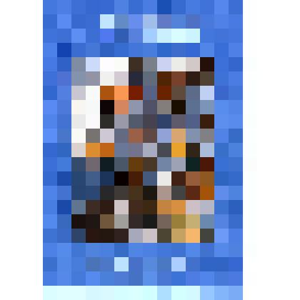 Журнал "Медон" на французском  языке со статьей о Л.С. Брижатовой, внучке С.П.Петрова