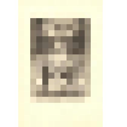 "Двойник". Рисунок