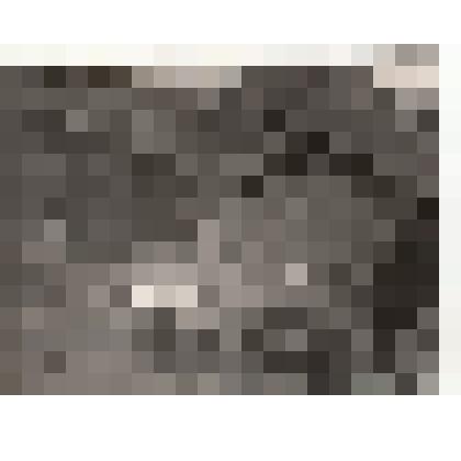 Фото/чб. Энгельсская опытно-мелиоративная станция. Плуг для трактора. 1960-1970