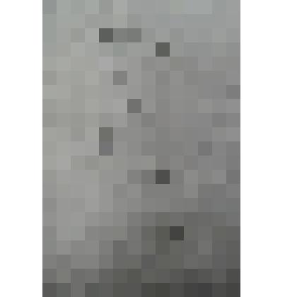 Рукопись "Берза бекхам". Стих