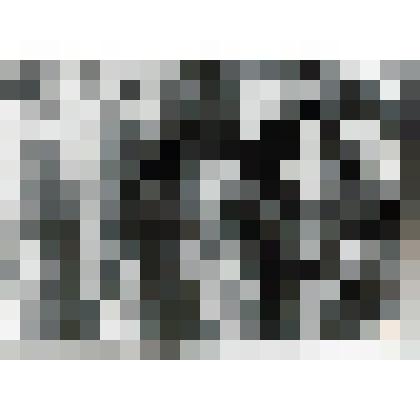 Фотография. Крестьяне д.Кучумово голосуют за колхоз