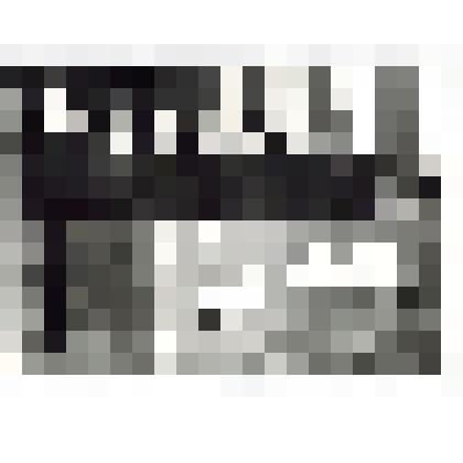 Фото. Президиум торжественного собрания, посвященной 50-летию Таналыкского совхоза