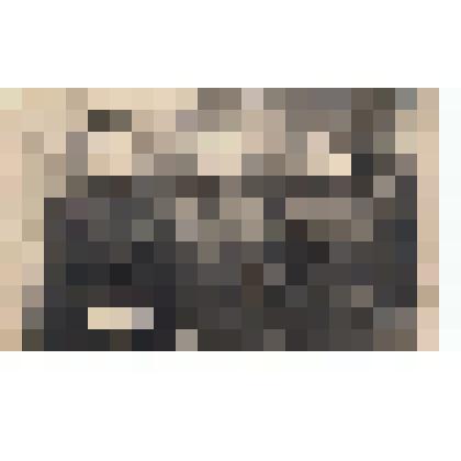 Ф/чб. Работники 687-й военно-почтовой станции 148-й стрелковой дивизии: Матвеева-Епанечкина Екатерина Иввановна, нач-к 687-й ВПС Спихин Петр Павлович, оператор Глубокова Анна Ефимовна. 1945