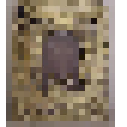 Икона Спас Нерукотворный