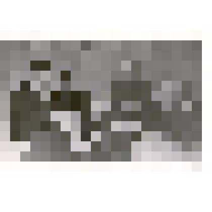 Фотография: участники вечера, посвященного 40-летию окончания Гражданской войны