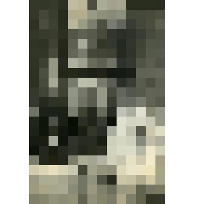 Фотография. Крестьянин за чтением газеты