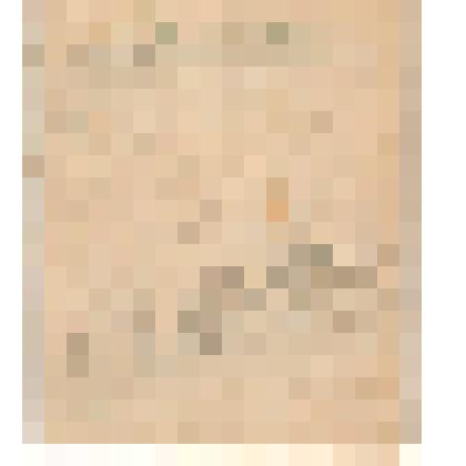 Документ. Белопухов С. С. Статья "Вперед, на Запад" для рукописного журнала "Боевой путь" Воинской части 01807, № 4 от 15 августа 1944 года. Из коллекции материалов о Белопухове Сергее Семеновиче (1900-1975), уроженце села Гольцовка Георгиевской волости К