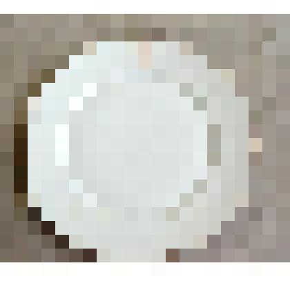 Тарелка мелкая. Принадлежала Петру Васильевичу Ивашеву (1837-1896 гг.), сыну декабриста-симбирянина Василия Петровича Ивашева (1797-1840гг.)