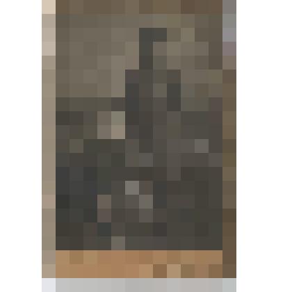 Ф/чб/п. Портрет мужчины с мальчиком (поволжские немцы, Дизендорф). /Фот. Г. Лидер. г. Баронск. 1917