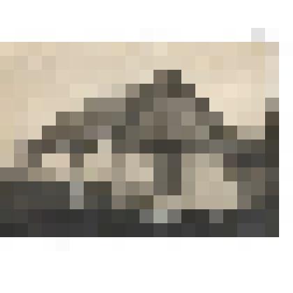 Ф/чб. Поволжский немец-колонист у саманного дома. Крестьянское подворье. Поволжье. 1920-е. /Экспедиция Г. Дингеса