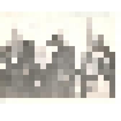 Фотография: праздник "Проводы Зимы" в г.Камень-на-Оби Алтайского края