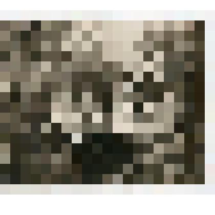 Фотография групповая. Павел Семенович Жуков с родными