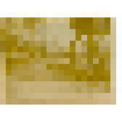 Фотография. Мураново. Южный партер