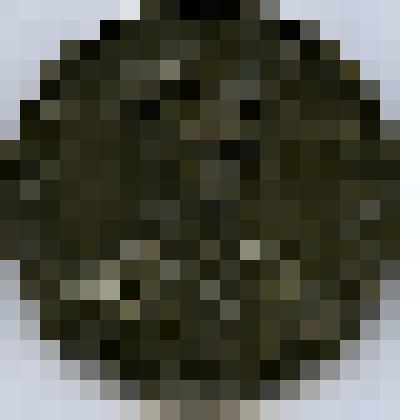 Медаль. На расширение Грамматической школы в Бирмингеме по проекту архитектора Чарлза Барри. Великобритания. Вильгельм IV (1830-1837)