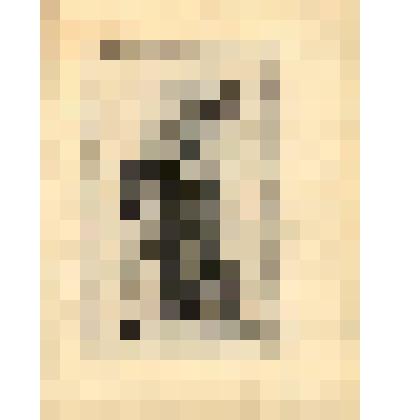 L'Quintius Cincinnatus. Antique. (Статуя "Квинтий Цинцинат" (№ 10) - лист из альбома: «Recueil des statues, groupes, fontaines, termes, vases, et autres magnifiques ornaments du Chateau & Parc de Versailles.» T. I-IV. (Собрание фигур, групп, терм, фонтано