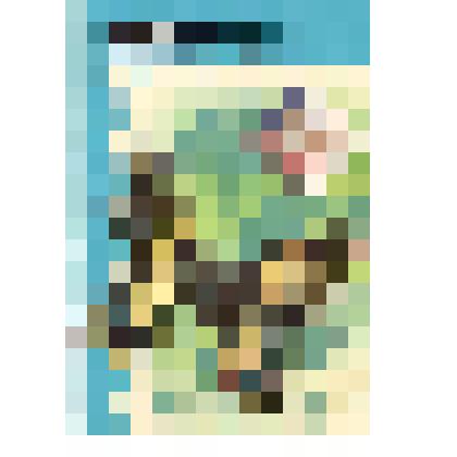 Календарь карманный