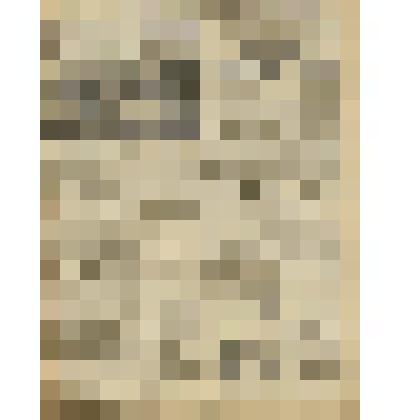 Газета. "Красный кавалерист" № 84