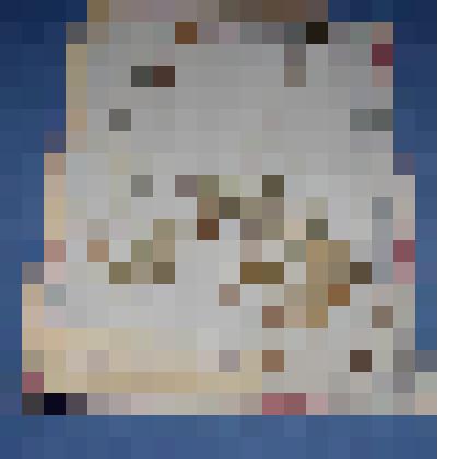 Ботаническая коллекция. Бубенчик коронолистный, Красноярский край, западные окрестности с.Ермаковское в березовой роще. Campanulaceae Adenophora coronopifolia Z