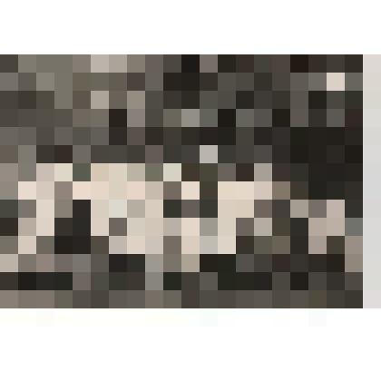 Фотография черно-белая групповая. Группа сотрудников санатория "Ливадия" на субботнике в парке