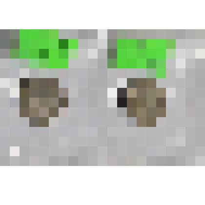 10 копеек 1905 г