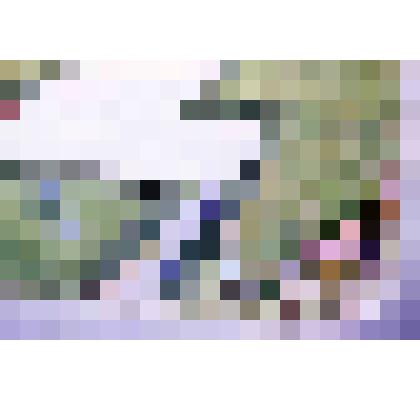 Диапозитив. (391)