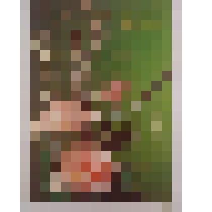 Открытка почтовая, поздравительная