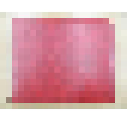 Альбом эстафетный