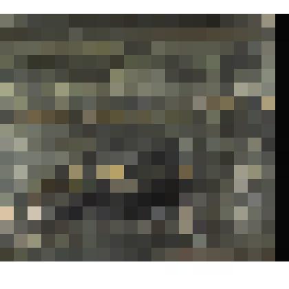 Дом Адамини