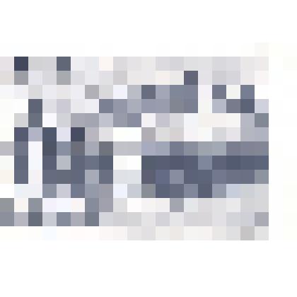 Фотография: первомайская демонстрация в г.Камне-на-Оби Алтайского края