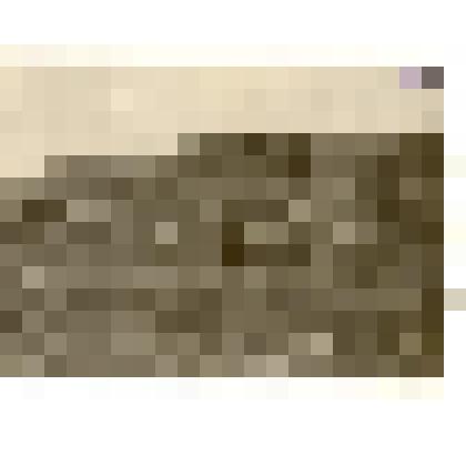 Фотография: Дурной Лог в окрестностях г.Камня-на-Оби, где были сброшены казненные белогвардейцами партизаны