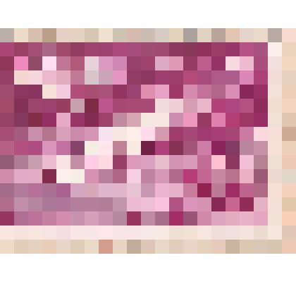 Марка почтовая