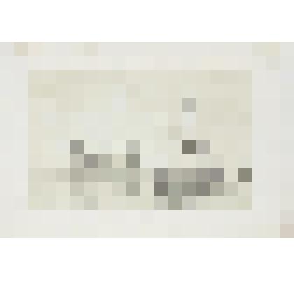 Литография. "Дания. Замок Кронненбург в Эльсиноре. Вид с борта парохода Таж."