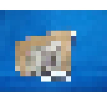 Поручи (нарукавники)