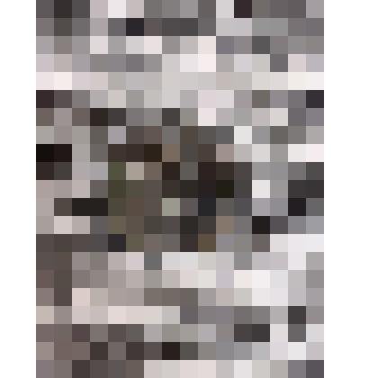 Монета достоинством 1 шекелей