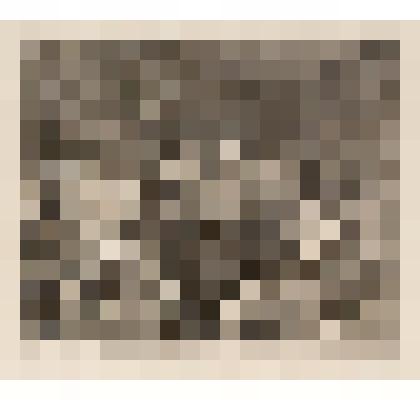 В таверне. Лист III из серии "Карьера мота". 1735, из альбома «The Works of William Hogarth»