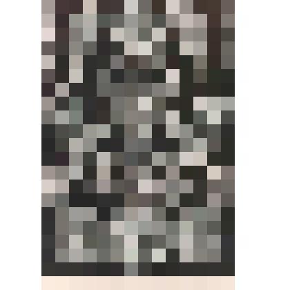 Иллюстрация. Таблица № 57. Выпуск "11-13".
 Из комплекта таблиц "Красота форм в природе"