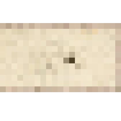 Спящий котенок, из альбома  «190 пейзажей; зарисовки, иллюстрации, карикатуры»