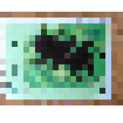 Марка почтовая  из серии "Фауна. Насекомые мира" Куба